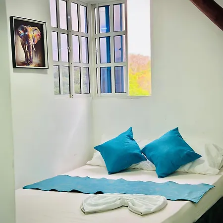 Hotel Manda Paradise House
